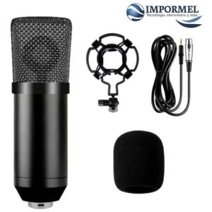Microfono Condensador Profesional Bm700 Estudio Pc Capacitiv